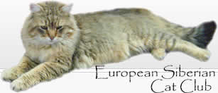 European Siberian Cat Club